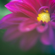 Image for article titled Shooting Challenge Freelensing Gallery 2